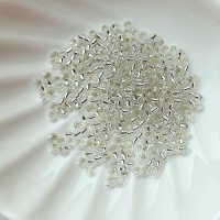 Японский серебряный Бисер Toho 11/0, №21, Silver-Lined Crystal, 4 гр